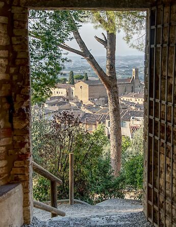 Biking through the province of Siena in Italy. Luca Florio@Unsplash