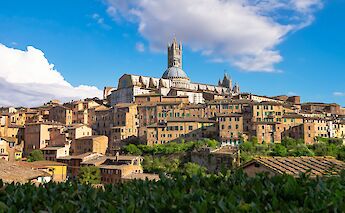 Siena in Tuscany, Italy. Alessandro Rossi@Unsplash