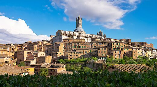 Siena in Tuscany, Italy. Alessandro Rossi@Unsplash