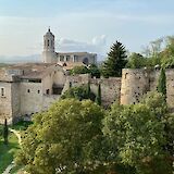 Flourishing trees along the walls in Girona, Spain. Unsplash:Christian Hess Araya