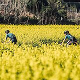 Catalonia's Region of Empordà in Spain Gravel Bike Tour