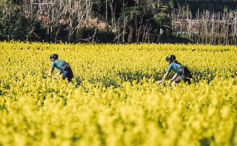 Catalonia's Region of Empordà in Spain Gravel Bike Tour