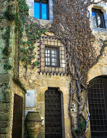 Ivy growing up a building in Pals, Spain. Unsplash:Deep Trivedi