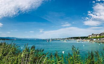 Geneva along Lake Geneva in Switzerland. Carlita Benazito@Unsplash