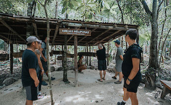 Mayan Stingless Bee house, Tulum, Mexico. CC:Mexico Kan Tours