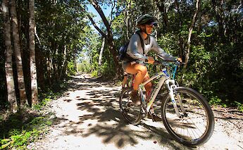 Riding a bike through the jungle, Tulum, Mexico. CC:Mexico Kan Tours