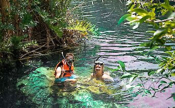 Snorkeling tour of a cenote, Tulum, Mexico. CC:Mexico Kan Tours