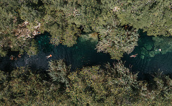 Swimming in the cenote from above, Tulum, Mexico. CC:Mexico Kan Tours