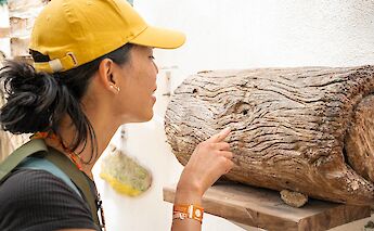 Examining nature, Tulum, Mexico. CC:Mexico Kan Tours