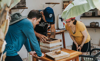 In a local shop, Tulum, Mexico. CC:Mexico Kan Tours