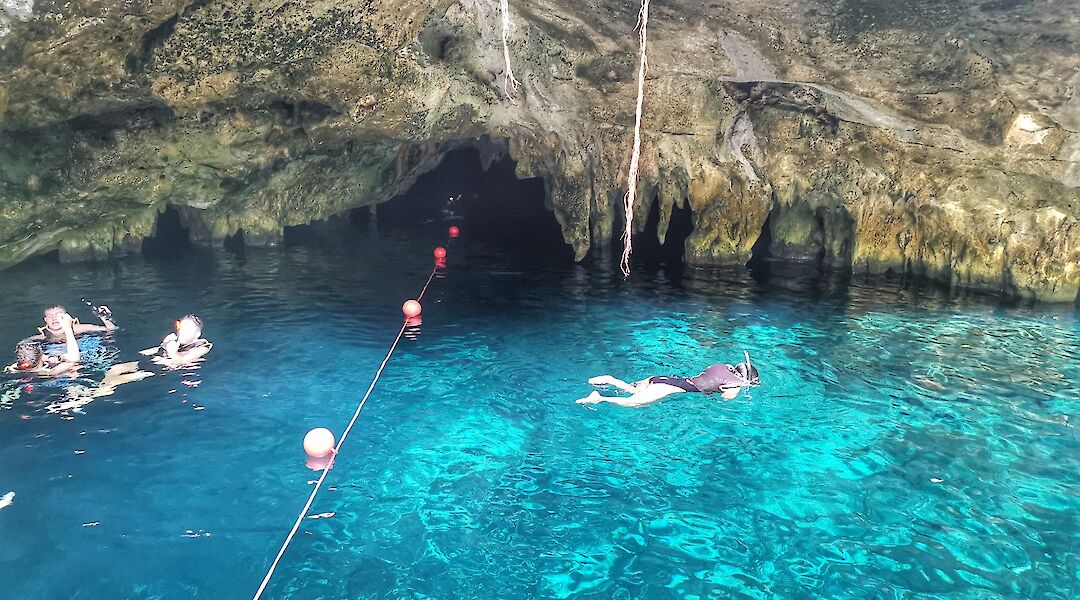 Tulum 2 Cenotes MTB Tour with Snorkeling & Lunch