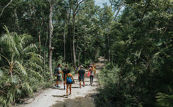 Hiking through the jungle, Tulum, Mexico. CC:Mexico Kan Tours
