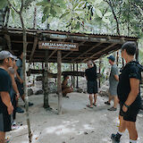 Taking a look at the Mayan Stingless Bee house, Tulum, Mexico. CC:Mexico Kan Tours