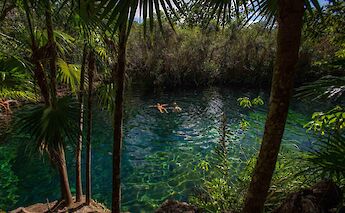 Viewing a cenote through foliage, Tulum, Mexico. CC:Mexico Kan Tours