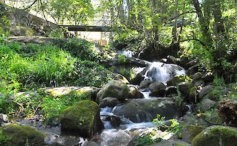 Monchique, Algarve, Portugal. Flickr: Tiago J G Fernandes