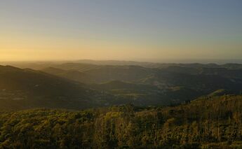 Monchique, Algarve, Portugal. Alena Torgonskaya@Unsplash