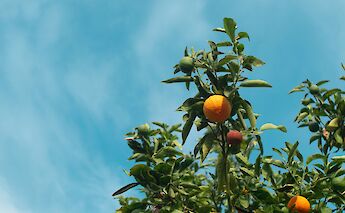 Monchique, Algarve, Portugal. Herman Delgado@Unsplash