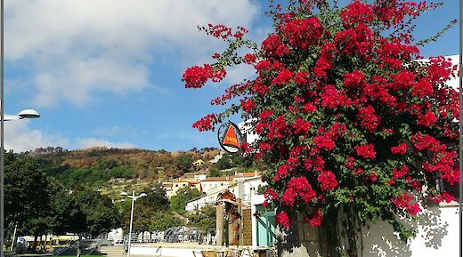 Historical Village of Monchique, Portugal. Jose A.@Flickr