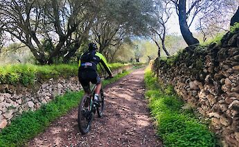Biking along an old stone wall, Algarve, Portugal