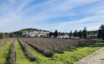 Paderne, Algarve, Portugal.