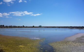 Ria Formosa, Algarve, Portugal. Natalia@Flickr