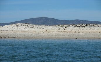 Ria Formosa, Algarve, Portugal. Inna Yatsun@Unsplash