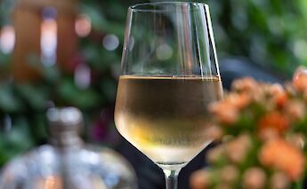 White wines in Cologne, Germany. Celina Albertz@Unsplash