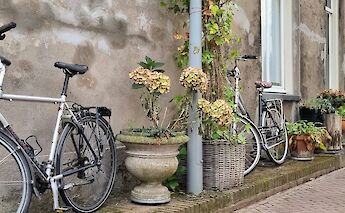 Doesburg, Gelderland, the Netherlands. Anja van de Gronde@Unsplash