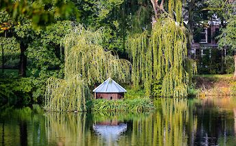 Doesburg, Gelderland, the Netherlands. Muhammed Zafer Yahsi@Unsplash