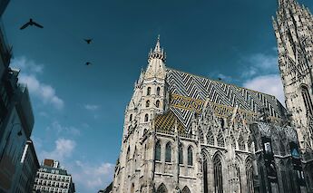 Birds flying above the cathedral in Vienna, Austria. Unsplash:Dan V