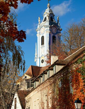 Red leaves in Durnstein, Austria. Unsplash:Shpetim Ujkani