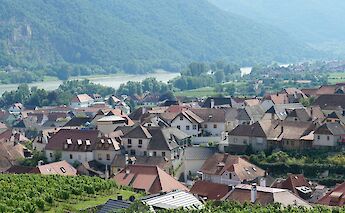 Red roofs in Wachau, Austria. Unsplash:Sheila C