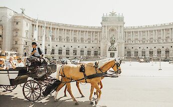 Horsedrawn carriage rides in Vienna, Austria. Sandro Gonzalez@Unsplash