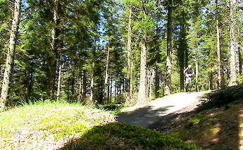 Mountain bike tour in Glentress Forest, Edinburgh, Scotland. cake rider@Flickr