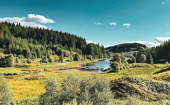 Trossachs, Scotland. Ruth Dacre Design@Unsplash