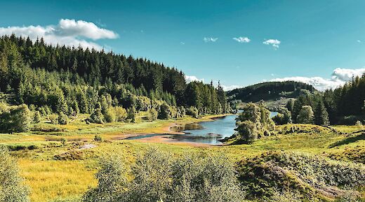 Trossachs, Scotland. Ruth Dacre Design@Unsplash