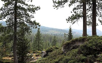 Loch Leven, Scotland. Sodai Gomi