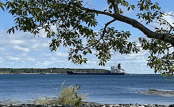 View of a lighthouse through the trees, Portsmouth bike tour, New Hampshire, USA. CC:TO