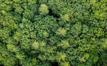 New Hampshire, USA. Alex Bertha@Unsplash