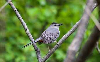 New Hampshire, USA. Brian Yurasits@Unsplash