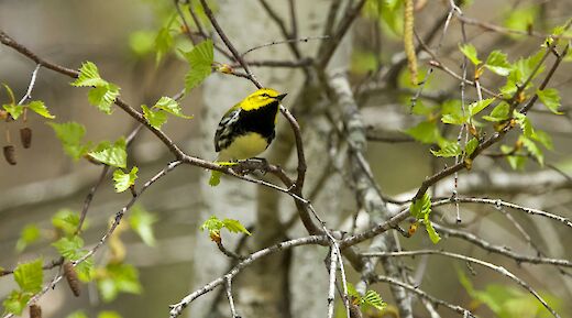 New Hampshire, USA. Brian Yurasits@Unsplash