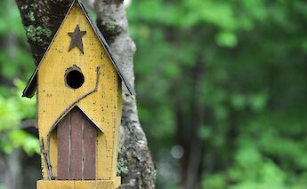 New Hampshire, USA. George Nifakos@Unsplash