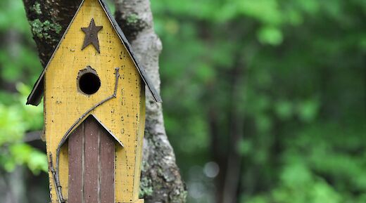 New Hampshire, USA. George Nifakos@Unsplash