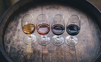 Port tasting in Portugal. Maksym Kaharlytskyi@Unsplash