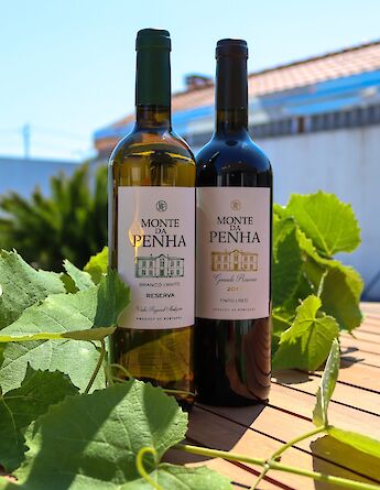 Portuguese wines to explore! Bruno Ferreira@Unsplash