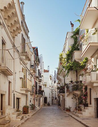 The streets of Putignano. -to