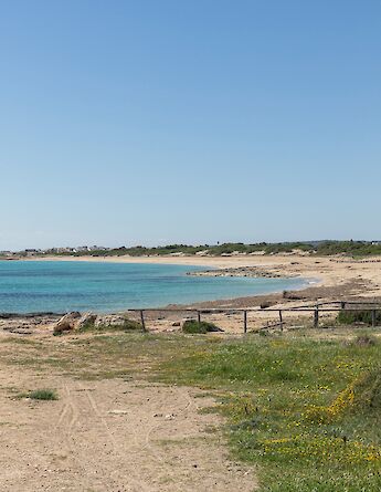 Peaceful coastal paths. -to