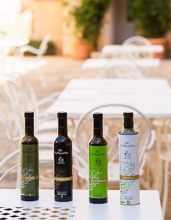 Olive oil tasting in Avetrana. -to