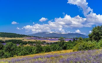 Provence Landscape. Flickr:Xlklima