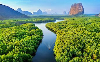 Boat motoring downriver, Asia. Unsplash@Getty Images